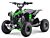 Renegade el ATV grön 1200W borstlös