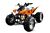 Grizzly 125cc sports quad