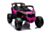 Can-Am Marverick 24V UTV barn 4x200W - Rosa