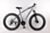 Trinx Fatbike 26